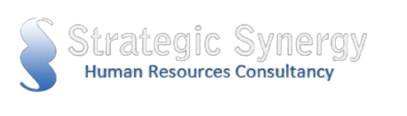 Strategic Synergy Constultancy